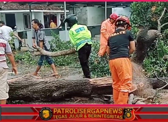 Respon cepat Kapolsek Ngronggot Bersama BPBD Pemdes Kaloran Evakuasi Pohon Tumbang di Dulakmiri
