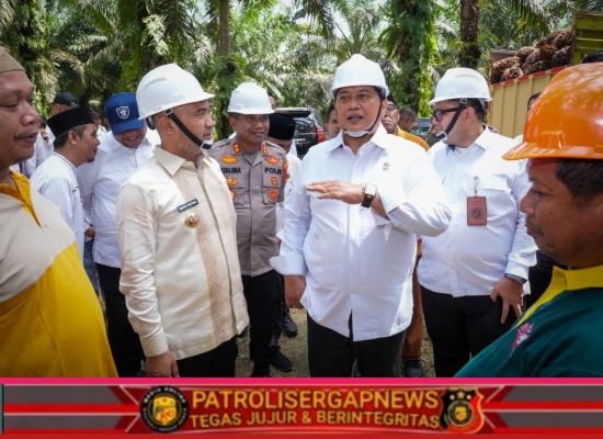 Transmigran Sukses Kelola Sawit, Wamen Viva Yoga: Agar Usaha Tetap Berkelanjutan, Kita Rencanakan Replanting