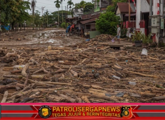 Nelayan Padang Sulit Melaut Ketika Perairan Penuh Kayu Gelondongan