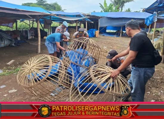 Sikat Penyakit Masyarakat, Polsek Singojuruh Musnahkan Lokasi Judi Sabung Ayam di Desa Alasmalang