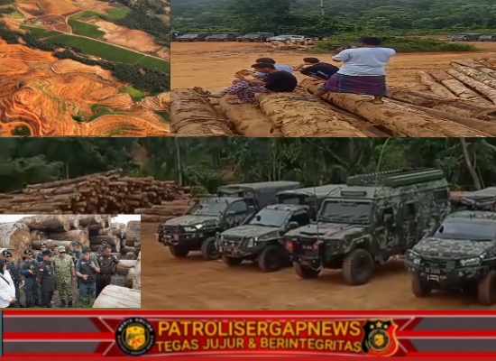 Kepala Kaperwil Aceh Patrolisergabnesw.com Tengku Ricki Menilai Penyataan Panglima TNi Tidak Logis