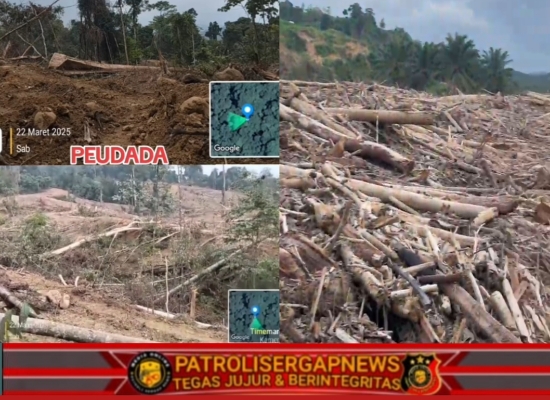 Muhammad Iqbal Nilai Kerusakan Hutan Jadi Biang Bencana Aceh