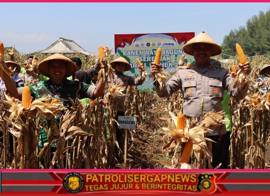 Kapolres Kendal Hadiri Panen Raya Jagung, Dukung Ketahanan Pangan Nasional