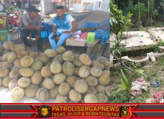 Paska Banjir Peudada: Tak Gengsi, Para Keuchik “Banting Setir” Jualan Durian Demi Sambung Ekonomi