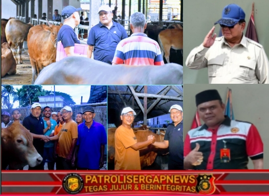 Optimalkan Bantuan Presiden, Bupati Bireuen Beli 90 Ekor Lembu untuk Meugang Korban Banjir