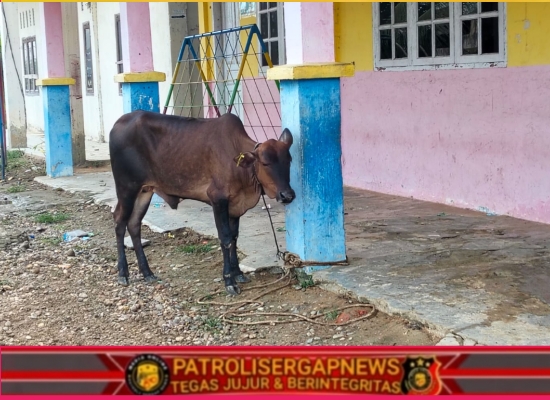 LAKI Soroti Transparansi Anggaran Meugang Rp7,5 Miliar di Aceh Timur, Dinilai Tak Tepat Sasaran
