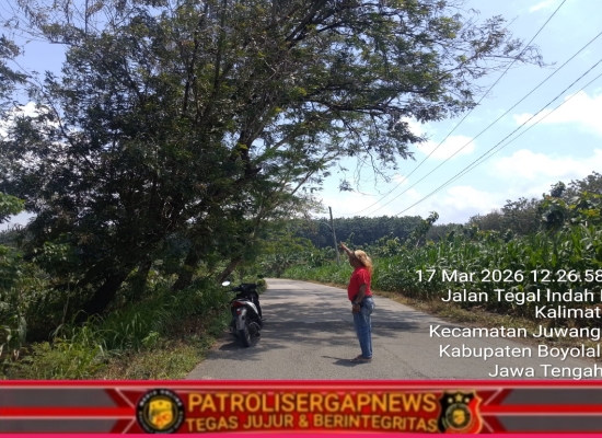 Pohon Rindang dan Minim Lampu Jalan di Jalur Juwangi-Kemusu Bahayakan Pengguna Jalan