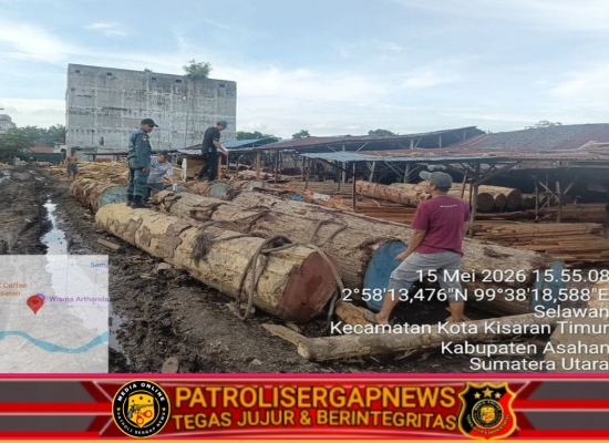 Tim Gabungan Kementerian Kehutanan Amankan Ribuan Batang Kayu Ilegal di Lima Industri Sawmill Sumatera Utara