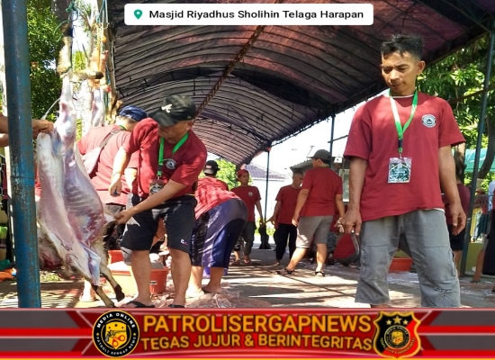 Antusias Warga Telaga Harapan Sambut Iduladha, 11 Ekor Sapi dan 40 Kambing Dikurbankan