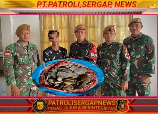 Satgas Pamtas RI-Malaysia Yonarmed 19/Bogani Terima Penyerahan Sukarela Sisik Trenggiling dari Warga Perbatasan