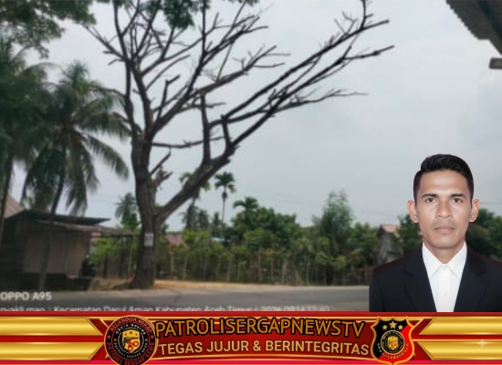 Pohon Lapuk Lintas Medan-Banda Aceh Ancam Keselamatan Warga, Aktivis BAI Kecam Sikap Acuh Plt Kadis BPBD Aceh Timur