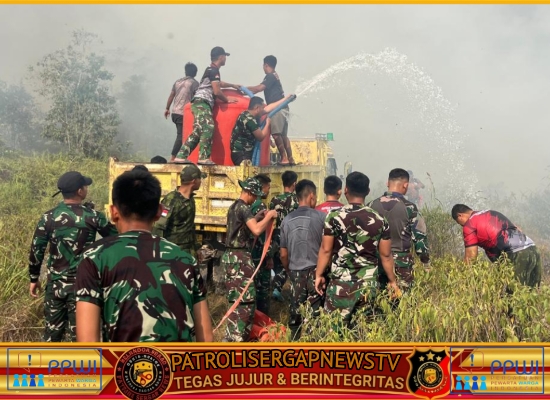Cepat Tanggap, Satgas Yonif 147/KGJ Padamkan Karhutla di Distrik Meyado