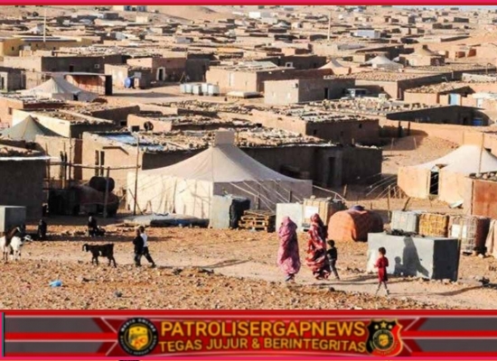 Skandal Penyelewengan Bantuan Kemanusiaan di Kamp Tindouf: Keuangan Polisario Dipertanyakan, Wilson Lalengke Desak Pembubaran Kamp