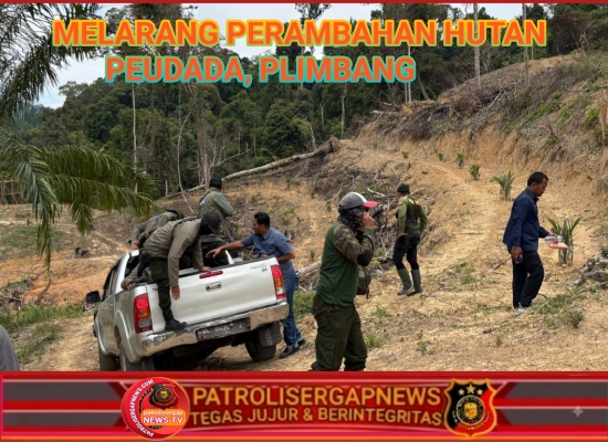 Aktivitas Perambahan Hutan Produksi di Peudada Bireuen Masih Marak Pascapatroli Gabungan