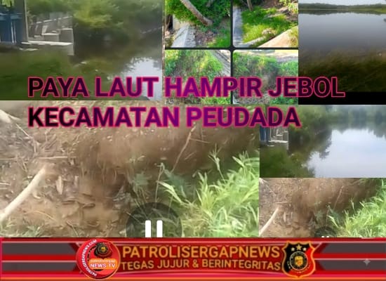 Tanggul Paya Laot Peudada Kritis Akibat Erosi, Pemkab Bireuen Didesak Lakukan Penanganan Darurat